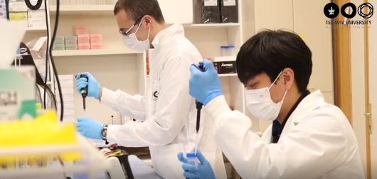 A single nanoparticle does two jobs: Enhancing the effectiveness of chemotherapy and reinvigorating 