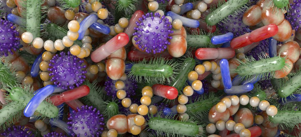 Engineered Bacteria May Protect Gut Microbiome from Harmful Effects of Antibiotics